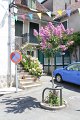 (14) Salies de Béarn